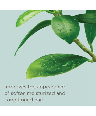 Hairitage Leave-in Conditioner Spray - Fortifying Leave-In Hair Treatment for Detangling & Reducing Breakage - 6 fl oz - Buy Online on GoSupps.com