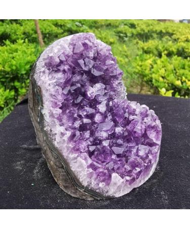 Natural crystal rough 350g-400g Natural Amethyst Quartz geode Crystal Cluster Specimen (Size : 2PCS) 1 count (Pack of 1) - Buy Online on GoSupps.com
