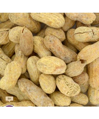 Salted Roasted Peanuts 10-oz. Bags - 2 Pack | Protein-Rich & Delicious Snack Option - Buy Online on GoSupps.com