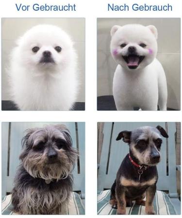 GHB Dog Hair Scissors - 5 Pack for Grooming & Coat Care | Thinning Scissors for All Dogs & Cats - Buy Online on GoSupps.com
