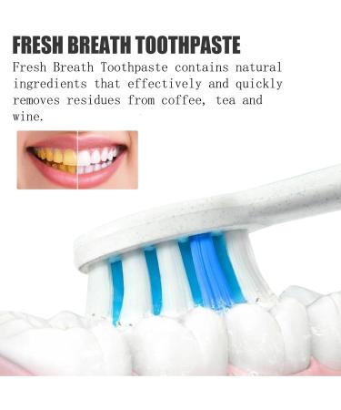 SP-8 Probiotic Toothpaste SP-8 Ultra Whitening Toothpaste Toothpaste with Fresh Breath Deep Cleaning Care Toothpaste for Oral Hygiene (3 PCS) - Buy Online on GoSupps.com