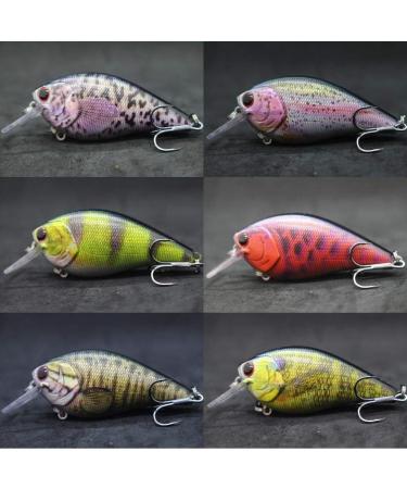wLure Minnow Crankbait Bass Fishing Lure Jerkbait HC25KB3 with Tackle Box - Buy Online on GoSupps.com