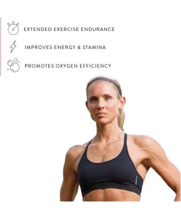 HumanN BeetElite Pre Workout Powder - Black Cherry - 20 Servings for Men & Women - Buy Online on GoSupps.com