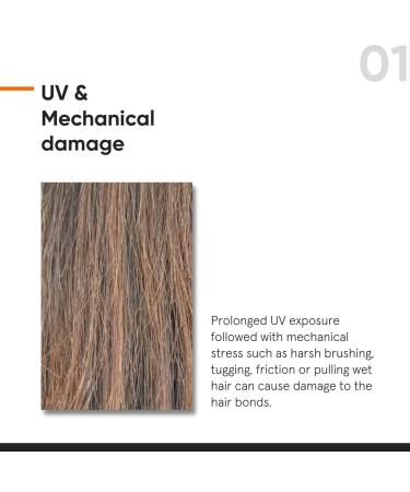 Maleic Bond Repair Complex 05% Hair Serum with Amino Acids, Argan Oil & Squalane - 50ml - Buy Online on GoSupps.com