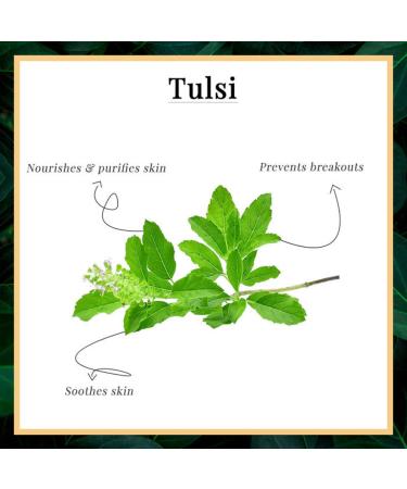 Good Vibes Gel Neem & Tulsi (300 G) - Buy Online on GoSupps.com