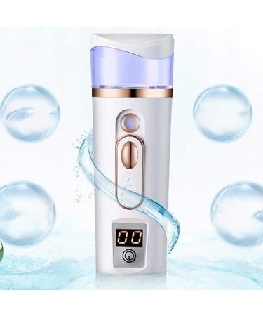 RIYAN Skin Test Hydrating Instrument Charging Treasure Nano Hydrating Instrument Hydrating Beauty Instrument Steaming Face(Pink) - Buy Online on GoSupps.com