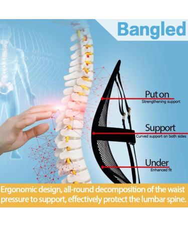 Bangled Lumbar Support - Double Breathable Mesh Car and Office Chair Back Support (Black 2 Pack) - Buy Online on GoSupps.com