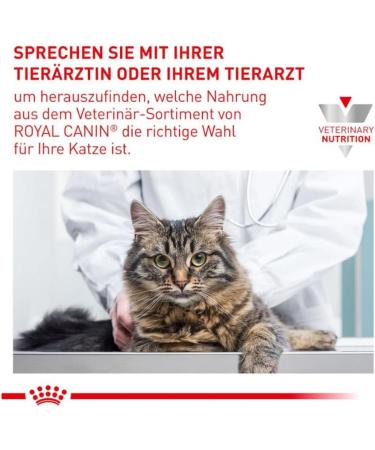 Royal Canin Expert Neutered Satiety Balance | 3.5 kg | Dry Food for Castrated Cats Up to 7 Years | Balanced Nutrient Content - Buy Online on GoSupps.com
