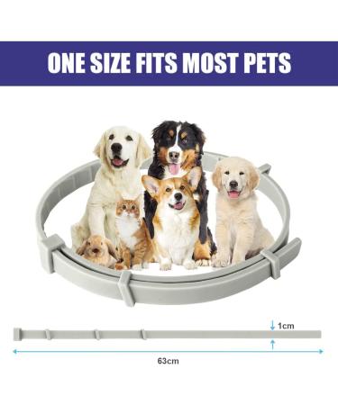 Teck Neck for Dogs | Adjustable Flea Collar | 8 Months Tick Protection | Natural & Waterproof | 64cm (Ash) - Buy Online on GoSupps.com