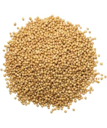 Food to Live Yellow Mustard Seeds (1 Pound) Bag (Pack of 3) Whole Spice Kosher Raw. Spicy Pungent Flavor. Rich in Selenium Fiber. Perfect for Pickling Condiments Homemade Dips and Marinades - Buy Online on GoSupps.com
