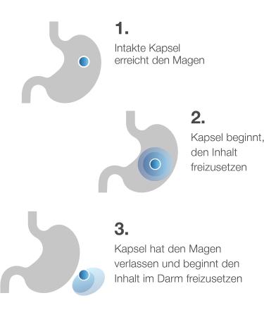 Darmflora Plus Select Intensive | Dr. Wolz | High-Dose Bacterial Cultures + Vitamins B6 & B12 | Healthy Mucous Membranes | 80 Capsules - Buy Online on GoSupps.com