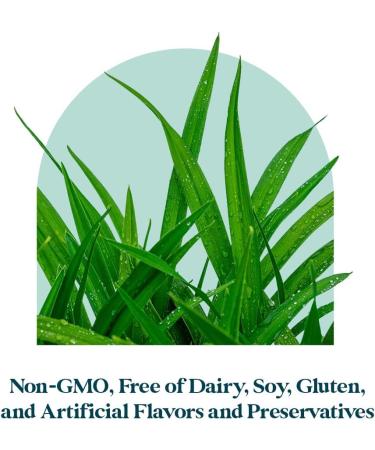 Pattern Wellness Prenatal Complex for Women Prenatal Vitamin with DHA, Folate, Iron, Probiotics & Biotin Support from Preconception to Postpartum - 90 Capsules 90 Count (Pack of 1) - Buy Online on GoSupps.com