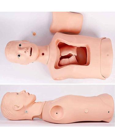 Jingedd Intubation Gastric Tube Model - Advanced Nasogastric & Tracheostomy Training Manikin for Nurses & Medical Students | International Shipping Available - Buy Online on GoSupps.com