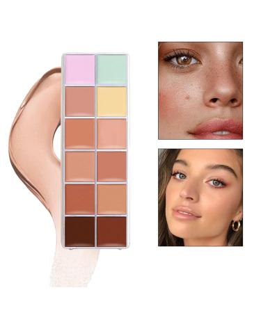 Roseflower 12 Colors Foundation Concealer Palette + 11 Makeup Brushes - Professional Highlight & Contour Kit for All Skin Tones - Buy Online on GoSupps.com