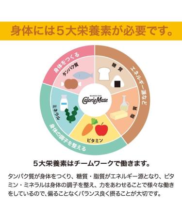 Calorie Mate Block Of Chocolate 2.82oz(80g) Set Of 10 - Buy Online on GoSupps.com