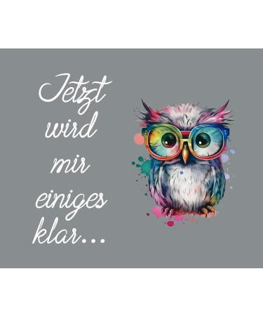Color Wuselei Owl Gray Microfiber Glasses Cleaning Cloth | 15x18 cm | Funny Optician Quality | International Shipping - Buy Online on GoSupps.com