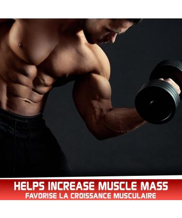 Predator Labs Carbolix 2kg - Carbohydrate endurance formula - 40 servings unflavored Gradual and sustained absorption of energy. Elevate your energy levels substantially enhance endurance and facilitate muscle gain. - Buy Online on GoSupps.com