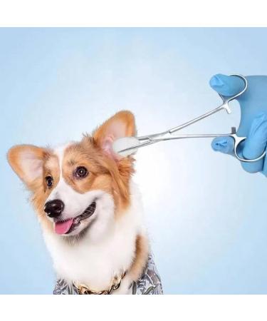 14cm Professional Straight Hemostat Hemostat Forceps Dog Grooming Scissors Piercing Forceps Tainless Steel Dog Ear Hair Puller Pet Dog Ear Hair Grooming Tweezers - Buy Online on GoSupps.com
