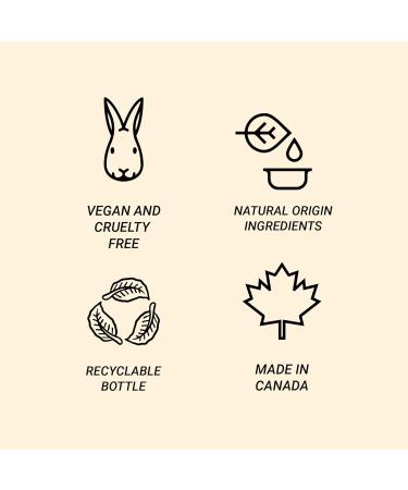 DANS UN JARDIN Beard Shaving Kit Made in Canada - Shower Gel After-Shave Balm & Shaving Gel - Boreal Ice - Skin-Friendly - Beard Gift Set for Silky Smooth Shave - All Skin Types - Vegan - 3-Pack - Buy Online on GoSupps.com