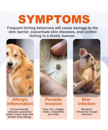 Dog Allergy Relief Chews Itchy Dog Skin Relief With Omega 3 Salmon Oil For Dogs Licorice Root Turmeric Probiotics for Dogs Anti Itch For Dogs Natural Dog Treats (60 Dog Chews) - Buy Online on GoSupps.com