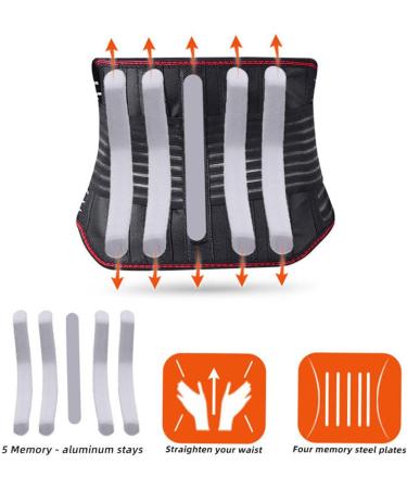 Self-Heated Lumbar Back Support Belt for Men & Women - Extended Posture Decompression for Pain Relief (CO L/Large Black) - Buy Online on GoSupps.com