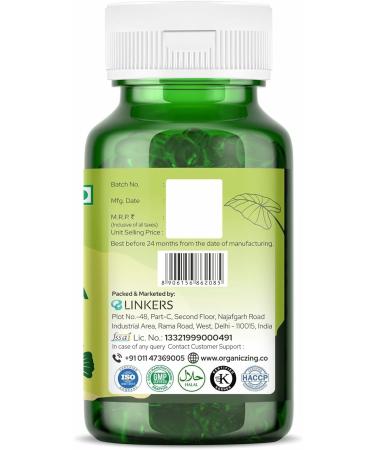 ORGANIC ZING Ginkgo Biloba Extract 120mg Big Bottle 30 Capsules - Buy Online on GoSupps.com