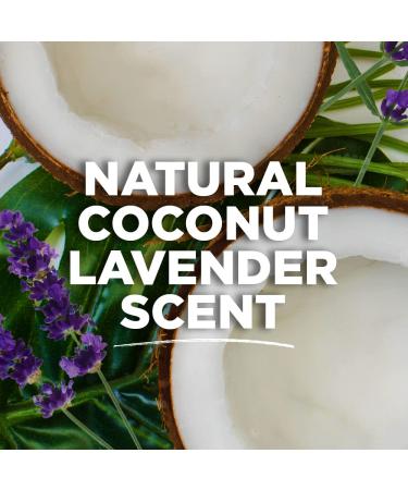 Tom's of Maine Women's Coconut Lavender Antiperspirant Deodorant 2.25 oz 3-Pack - Buy Online on GoSupps.com