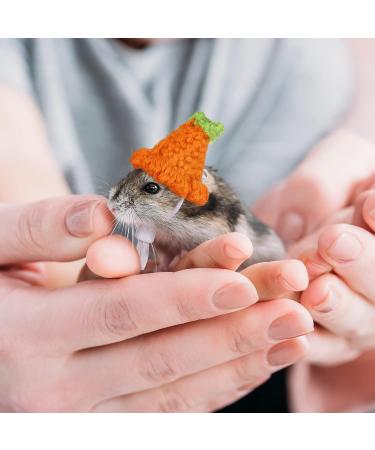 Xuniea 4 Pieces Mini Hand Knitted Animal Hats - Frog, Rainbow, Carrot - Adjustable Strap for Hamster, Guinea Pig, Lizard - Christmas Party Costume Accessories - Buy Online on GoSupps.com