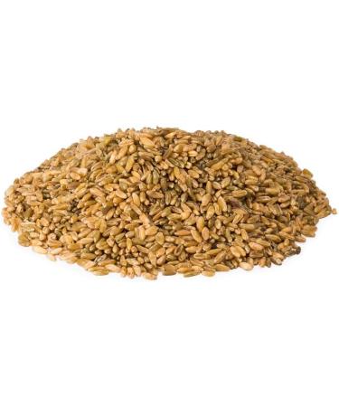 Sabarot - Freekeh 400 g - Buy Online on GoSupps.com
