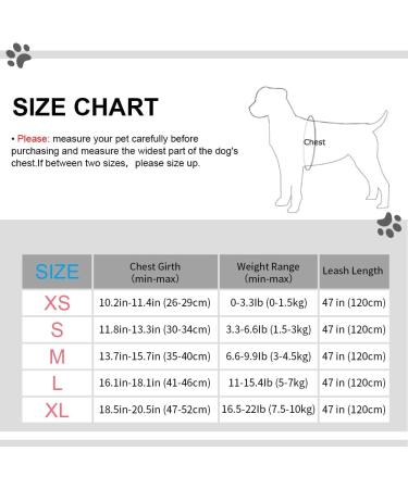 Meioro Adjustable Dog Harness with Leash - Reflective Soft Padded Vest for Small & Medium Dogs - Purple XS (26-29cm) - Buy Online on GoSupps.com