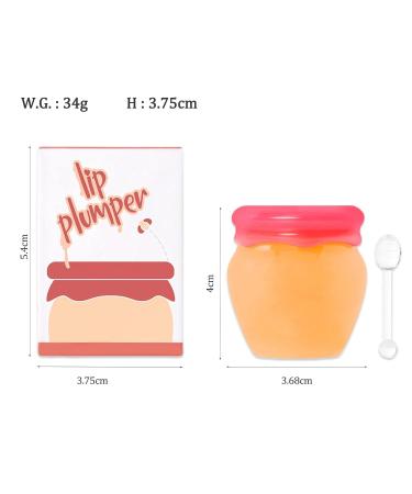 Rosarden Ginger Plump Lipstick - Daily Lip Gloss for Moisturizing and Reducing Lines - Buy Online on GoSupps.com
