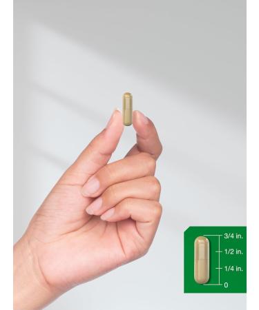 Horb ach Stinging Nettle Leaf Extract 2000mg | 150 Capsules | Non-GMO Gluten Free Herbal Supplement - Buy Online on GoSupps.com