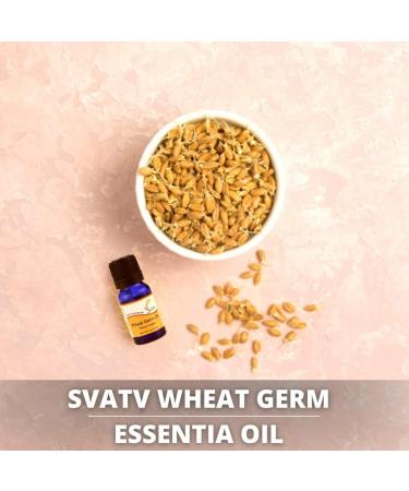 SVATV Wheat Germ Empire Oil - Therapeutic Aromatherapy Oil for Diffusers Yoga & Massage | 10ml Premium Fragrance for DIY Body Care - Buy Online on GoSupps.com