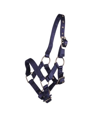 QHP foal halter foal nylon halter 4 foal sizes 6 colours (pony foal blue) pony foal blue