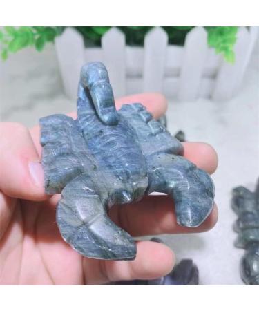 Crystal Rough 1pcs Natural Blue Labradorite Hand Crved Scorpion Polished Crystal Stones for Sale - Buy Online on GoSupps.com