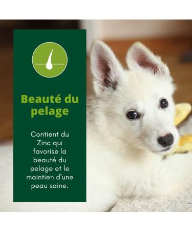 EQUILIBRE & INSTINCT - Puppy - Poultry Croquettes - Supports Growth - Complete Recipe Formulated with Veterinarians - 5kg - Made in France - Buy Online on GoSupps.com