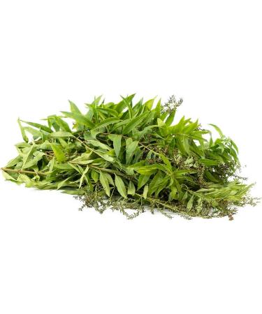 Lemon Verbena dried leaves organic Verveine whole leaves organic 50gm non GMO product of Morocco - Buy Online on GoSupps.com
