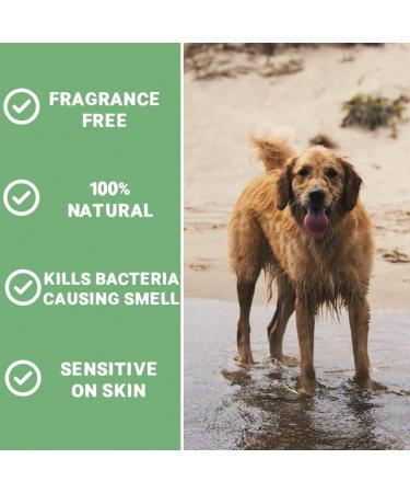 Pets Purest Wet Dog Deodorant Spray 300ml - 100% Natural Deodoriser Bad Smell Eliminator & Fragrance Free Cologne Perfume Spray for Pro Grooming - Buy Online on GoSupps.com