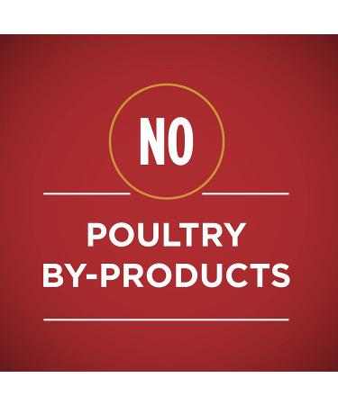 Purina ONE Dog Food 13oz Variety Pack - Pack of 6 | Balanced Nutrition for Dogs - Buy Online on GoSupps.com