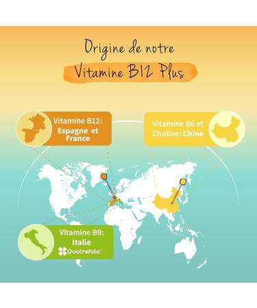 Vegavero Vitamin B12 1000 mcg | From France & Spain | The Only One Without Additives & Vegan | With 2 Active Forms + Folic Acid + B6 + Choline | Energy + Anti-Fatigue | 180 Capsules - Buy Online on GoSupps.com