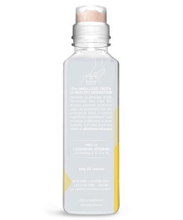 Karma Wellness Pineapple Coconut Flavored Vitamin Water - 216 Fl Oz (Pack of 12) | Green Tea, Magnesium, Antioxidants | Low Calorie Hydration - Buy Online on GoSupps.com