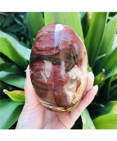 Natural Crystal Rough Natural Wood Polished Quartz SpecimenHome DecorationStones (Size : 350-400g) (Size : 450-500g) - Buy Online on GoSupps.com