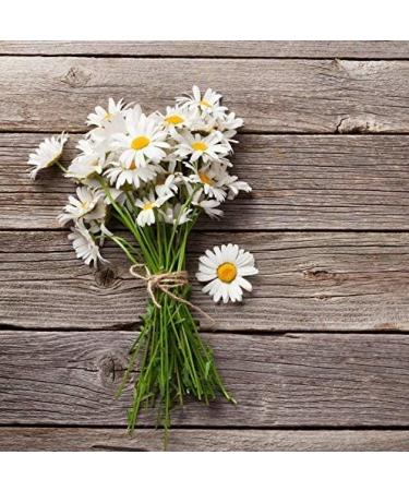 Cedar Bear Chamomile Calmer for Kids Liquid Herbal Supplement That Soothes Nerves Tummies Promotes Restful Sleep 1 Fl Oz (Pack of 1) - Buy Online on GoSupps.com