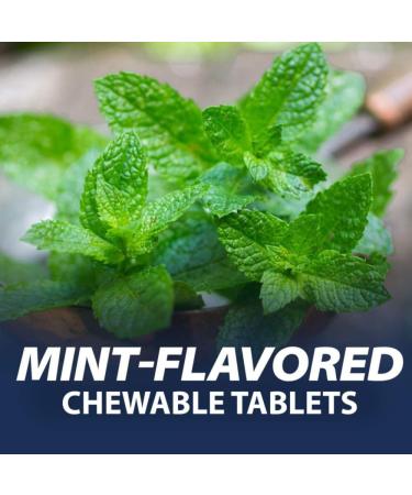 Rolaids Extra Strength Antacid Mint Flavoured Fast Heartburn Relief 96 Count Chewable Mint 96 Count (Pack of 1) - Buy Online on GoSupps.com