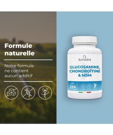 Bandini Glucosamine Chondro tine MSM + Vitamine C | 366 comprim s - 6 mois | R duit inflammations des articulations renforce le cartilage | 600mg de glucosamine 100mg de chondroitine & MSM par dose - Buy Online on GoSupps.com
