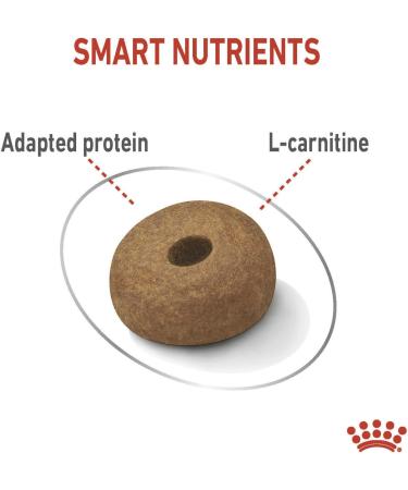 Royal Canin Maxi Light Weight Care Adult Dry Dog Food 12kg - Buy Online on GoSupps.com