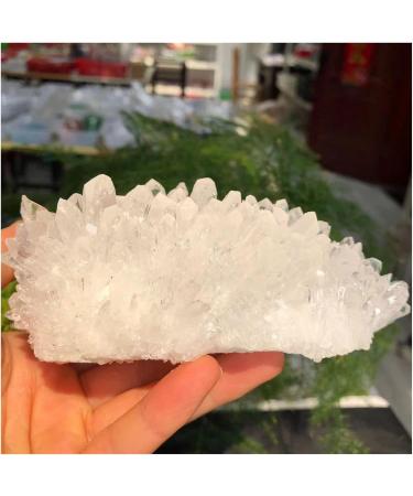 Crystal Cluster Natural White Crystal Clear Cluster Original Stone Quartz Specimen Rock Raw Gemstones Decor Full of Texture (Size : 800-900g) - Buy Online on GoSupps.com