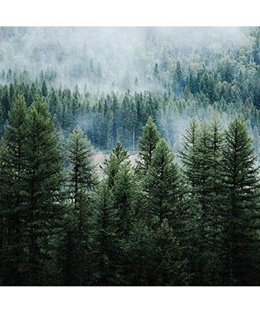 500g MSM Pure Sulphur by Patrick McGean - Sulphur Study Approved - Buy Online on GoSupps.com