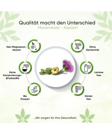 Mariendistel 820mg 240 Capsules w/ Artichokes & Dandelion - 8 Months Supply | High Dose 80% Silymarin Extract | Vegan & High Bioavailability - Buy Online on GoSupps.com