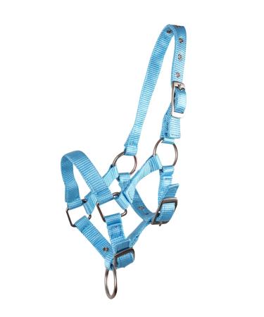 QHP foal halter foal nylon halter 4 foal sizes 6 colours (Shetland foal light blue) Shetland foal light blue